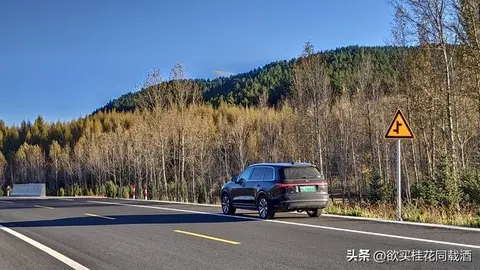 理想汽车的“滑铁卢元年”：背后原因早在我意料之中！